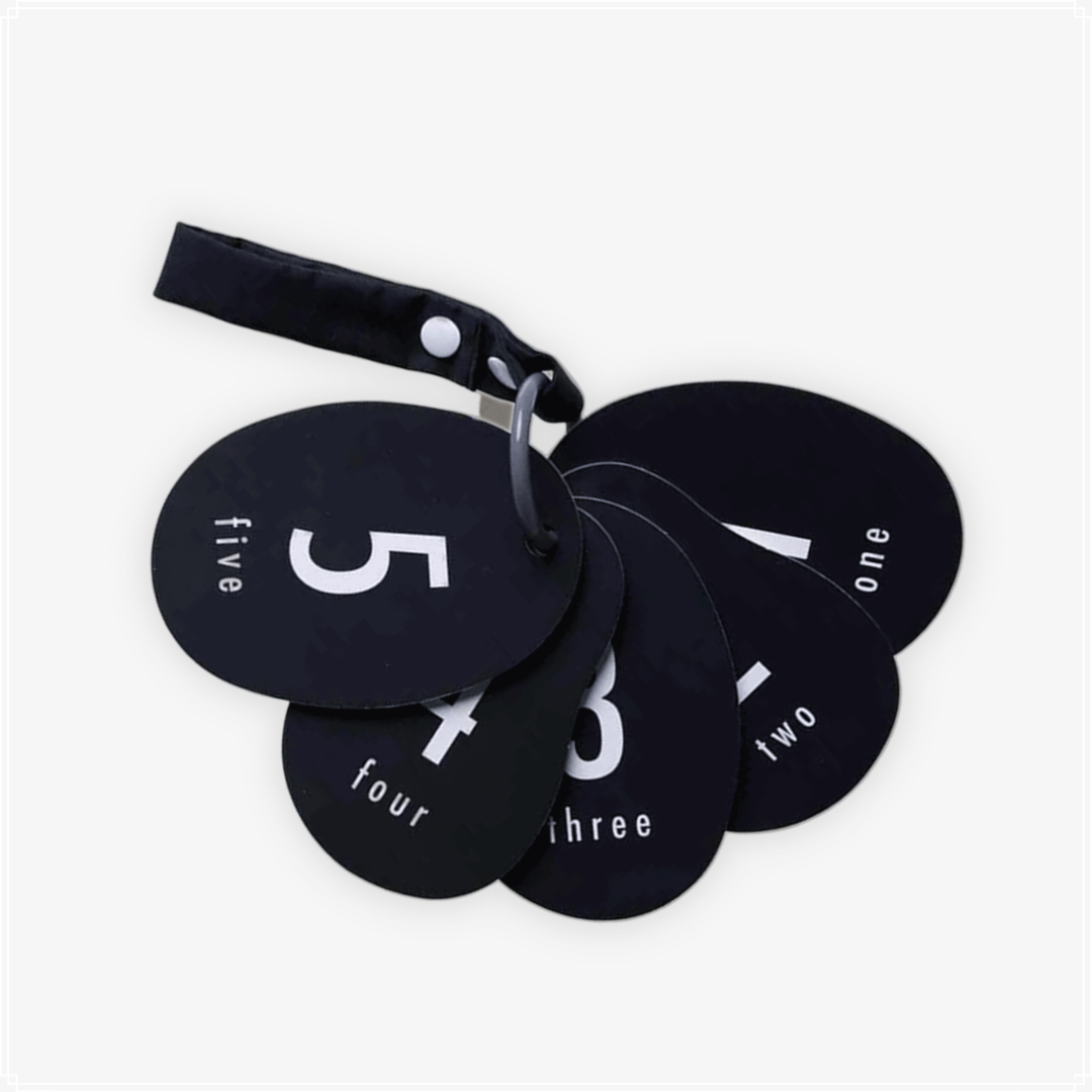 Wee Gallery Stroller Cards - I See Bugs to Count