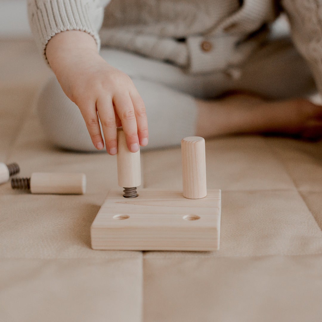 Qtoys Peg Screw Board