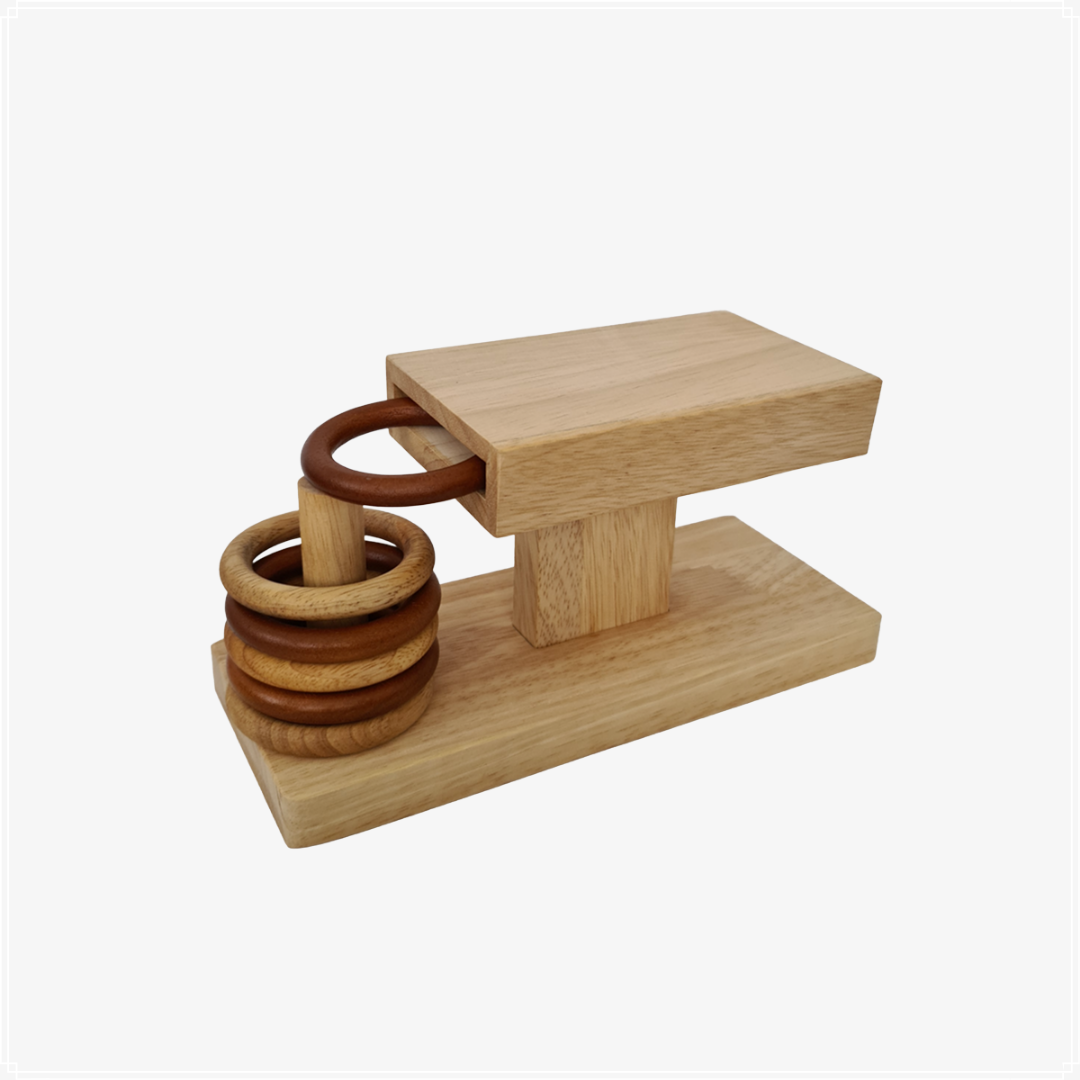 Montessori Rings Appear Activity