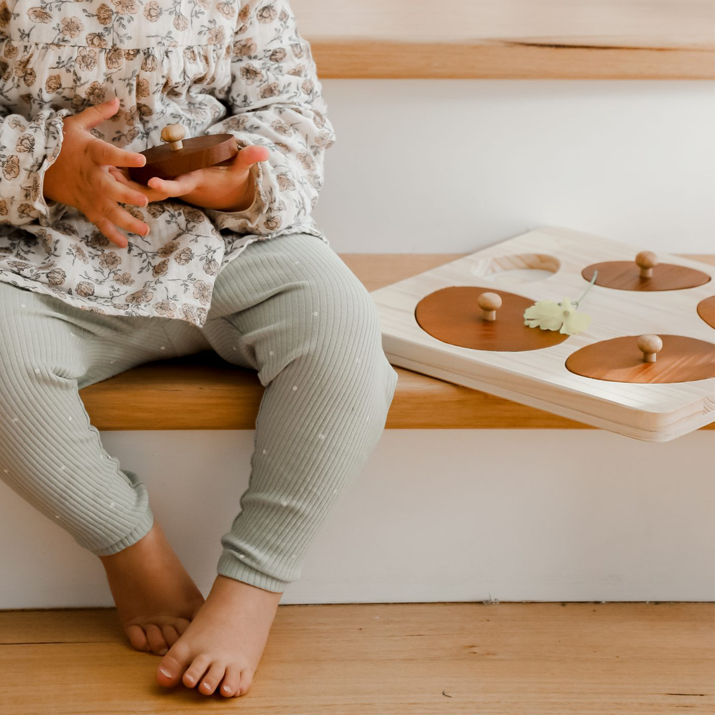 Qtoys Puzzle - Hen Life Cycle