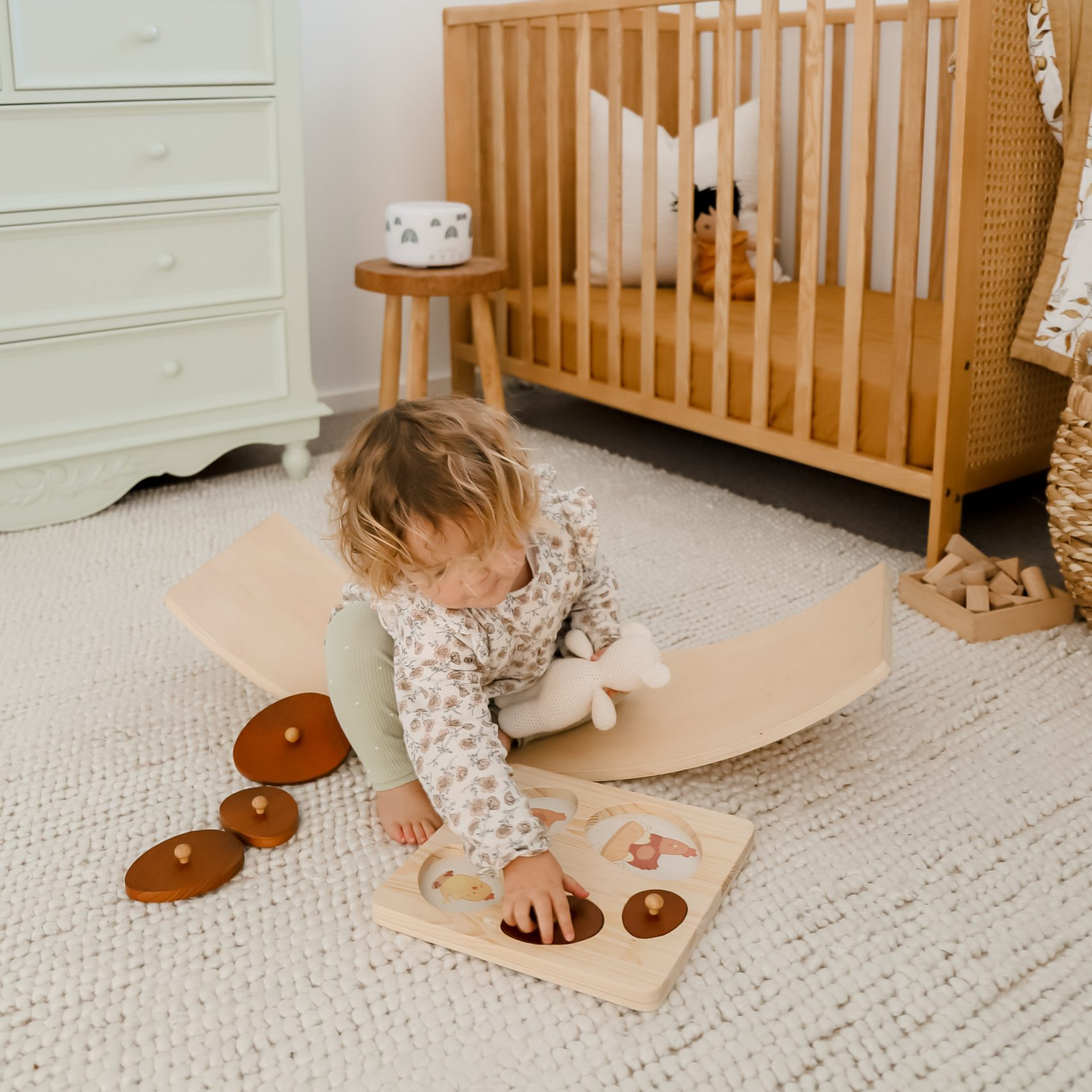 Qtoys Puzzle - Hen Life Cycle