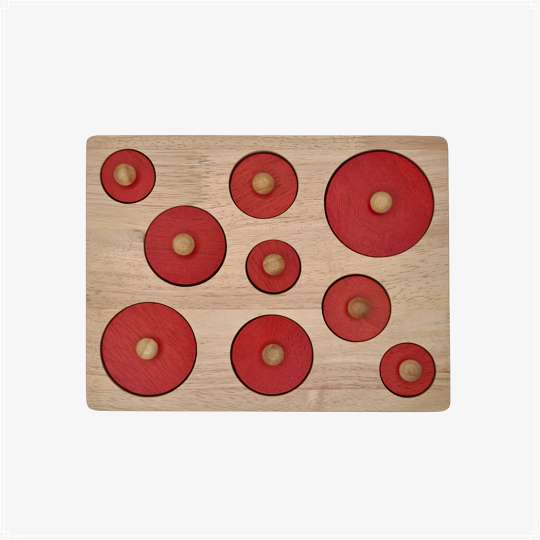 Qtoys Circle Discrimination Size Puzzle