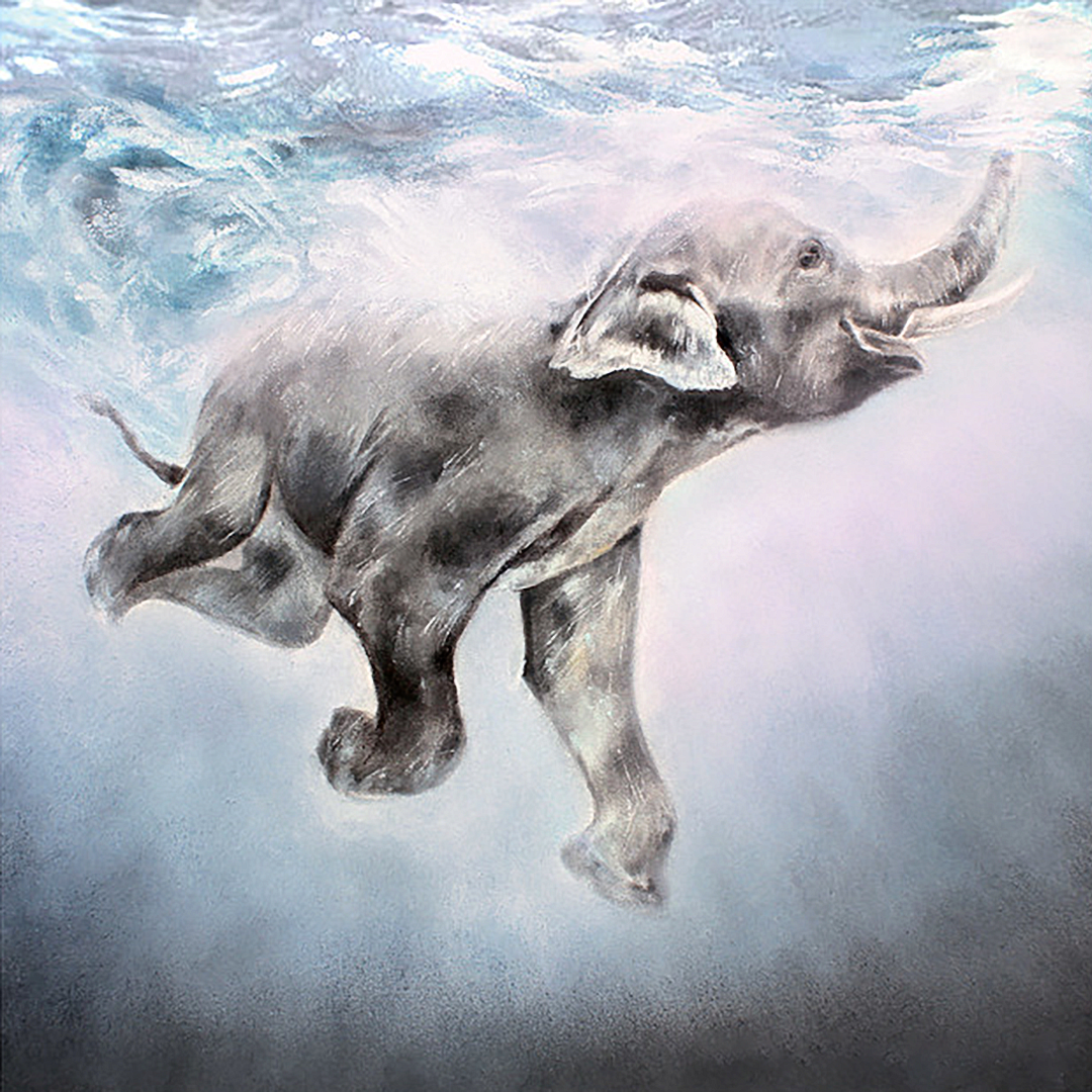 Book 3 The Hidden Kingdom - A Great Barrier Reef Adventure