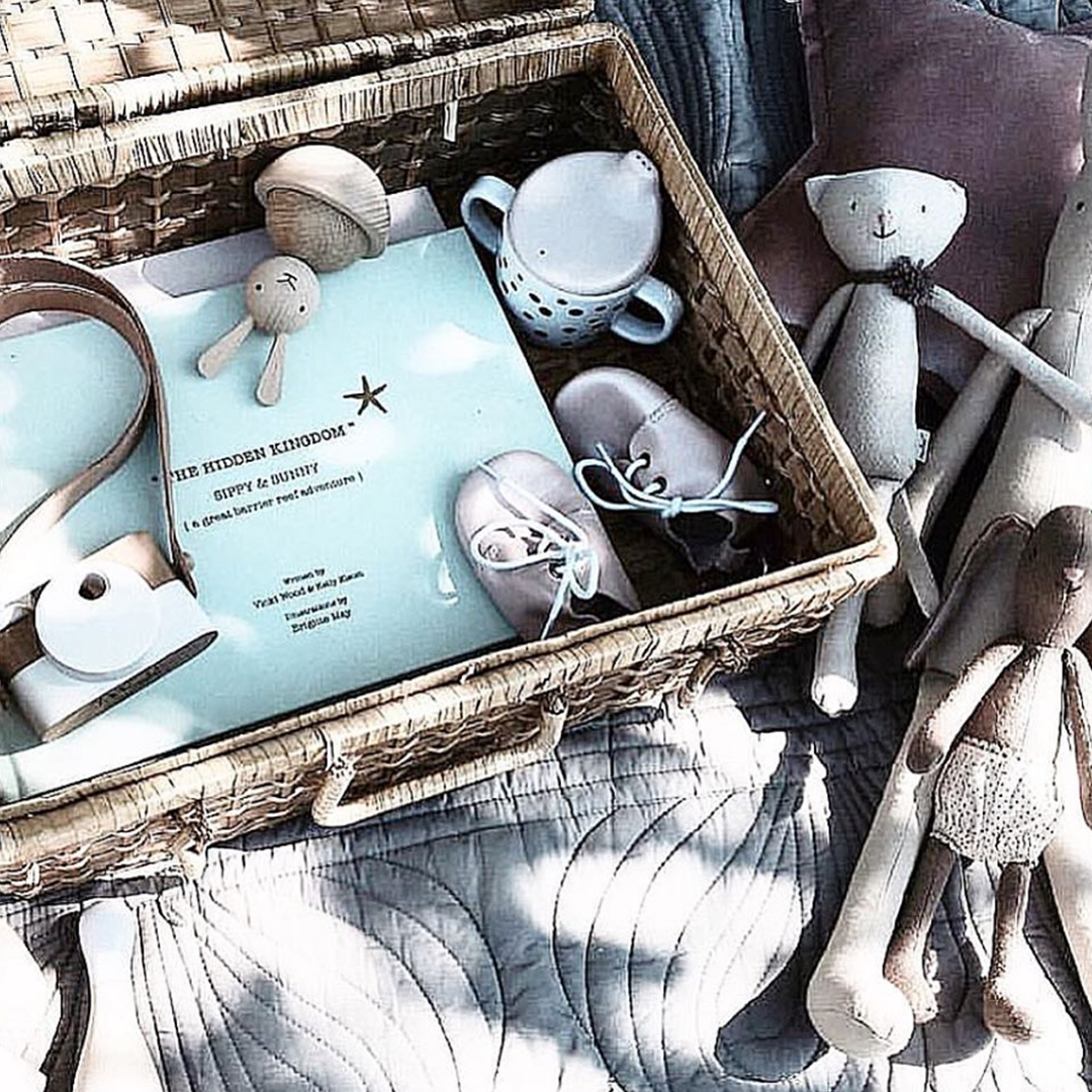 Book 3 The Hidden Kingdom - A Great Barrier Reef Adventure