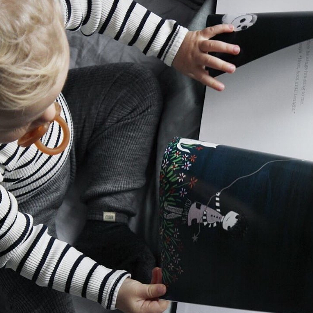 The Owl Outside My Door