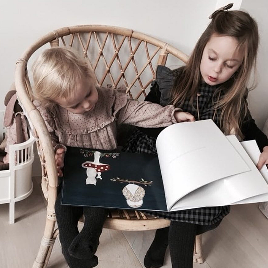 The Owl Outside My Door