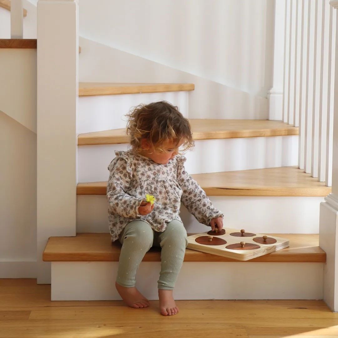 Qtoys Puzzle - Hen Life Cycle