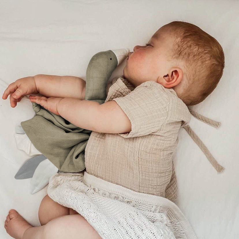 Goose Cuddle Cloth - Green Tea
