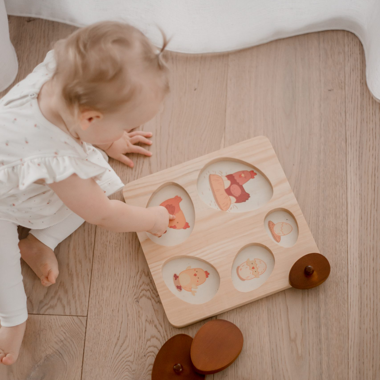 Qtoys Puzzle - Hen Life Cycle