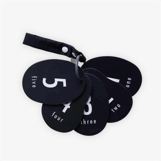 Wee Gallery Stroller Cards - I See Bugs to Count