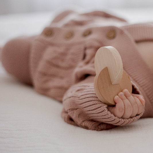 Qtoys Dual Clasping Discs