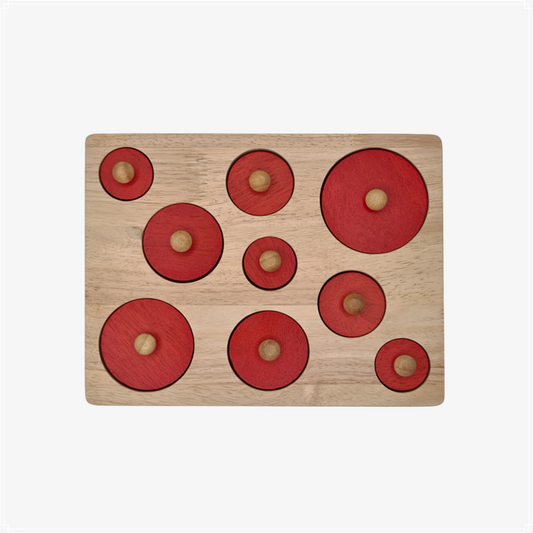 Qtoys Circle Discrimination Size Puzzle