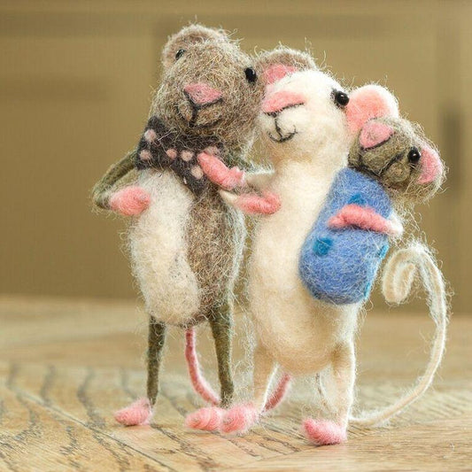 Tiny Creatures - Welcome Baby Boy