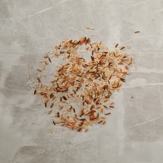 Sensory Rice - Mocha 750g