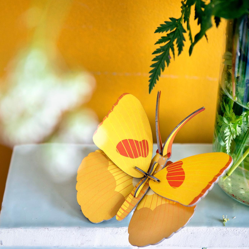 Studio Roof Yellow Butterfly