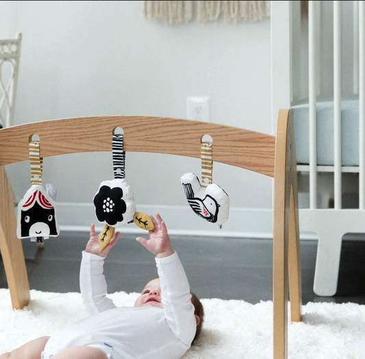 Wee Gallery Playgym or Stroller Toys - various designs
