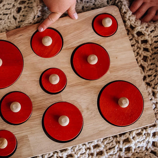 Qtoys Circle Discrimination Size Puzzle