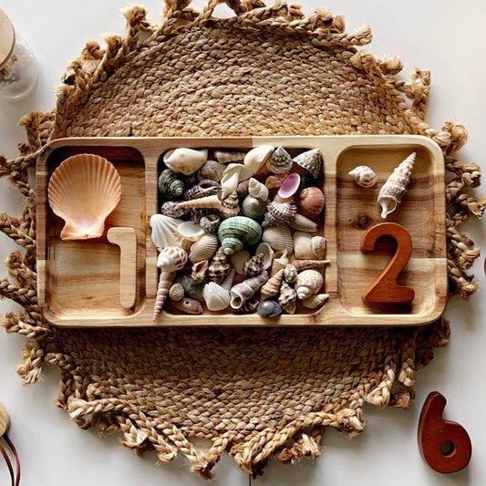 Qtoys Rectangular Divided Tray